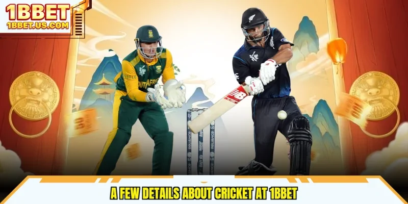 A few details about cricket at 1bbet