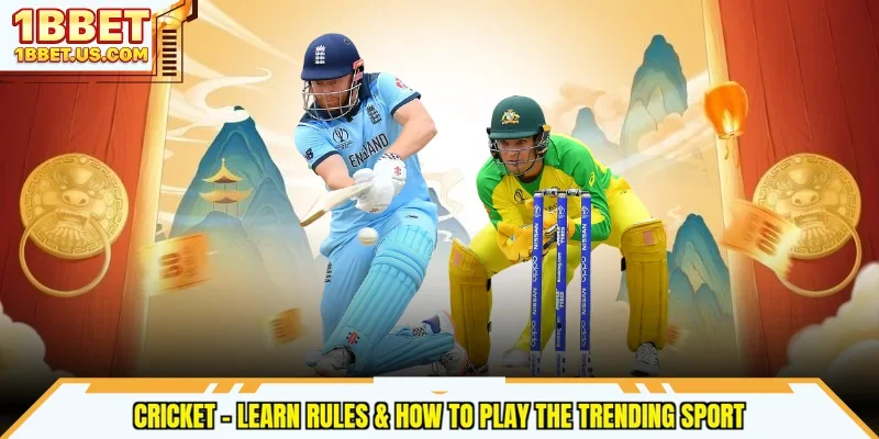 Cricket - Learn Rules & How To Play The Trending Sport